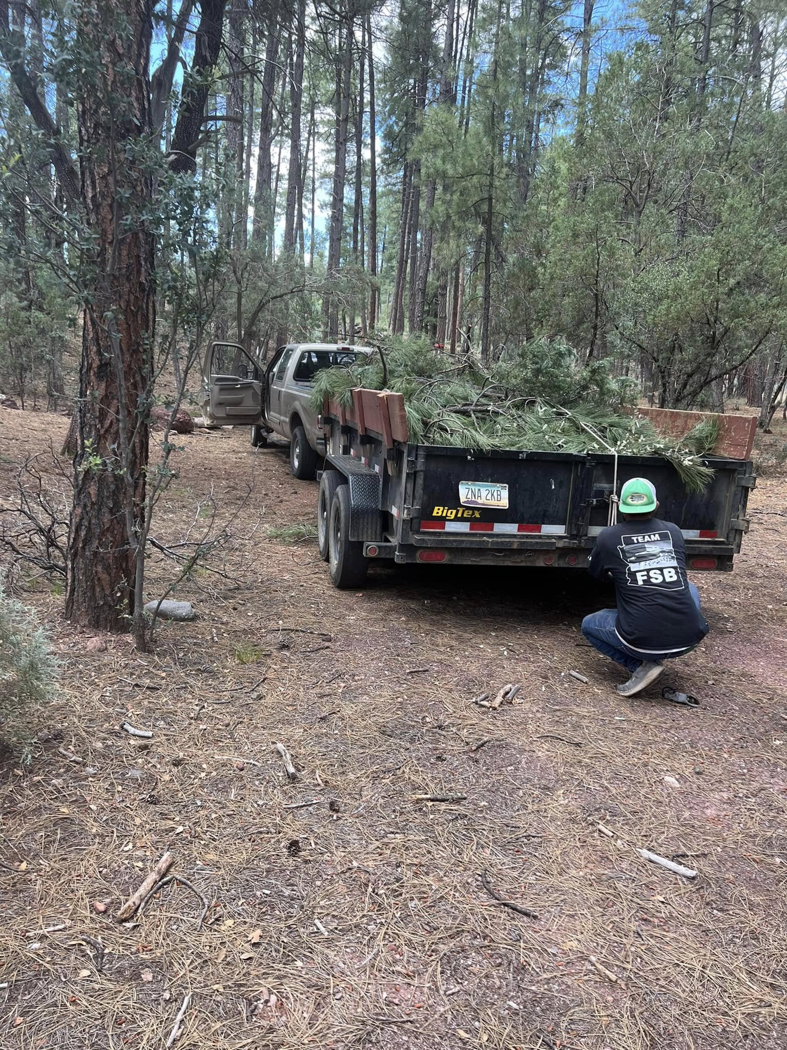 Dump trailer loaded with tree debris after tree removal in ponderosa pine forest